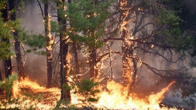 На Черкащині спостерігається надзвичайно висока пожежна небезпека