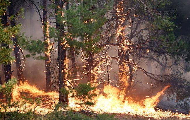 На Черкащині спостерігається надзвичайно висока пожежна небезпека