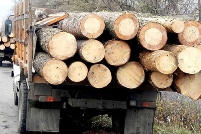 Черкащанина викрили на хабарях за незаконну вирубку деревини
