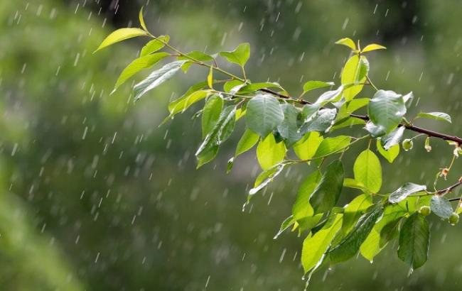Завтра на Черкащині прогнозують дощі та град