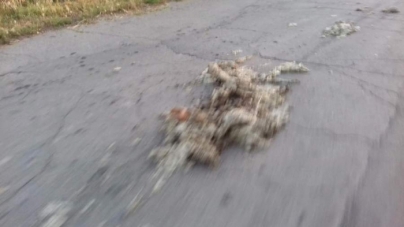 У селі на Черкащині вантажівка розгубила відходи м’ясопереробки