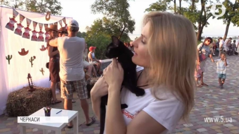 У Черкасах танцювали заради безпритульних котів (відео)
