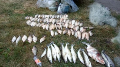 У Ватутіному затримали рибних браконьєрів