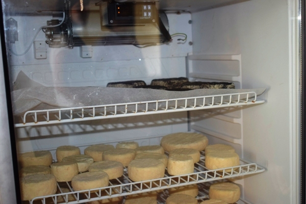 20 видів крафтових сирів виготовляють переселенці на Черкащині