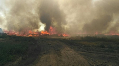 Впродовж доби на Черкащині виникло 3 пожежі через спалювання трави