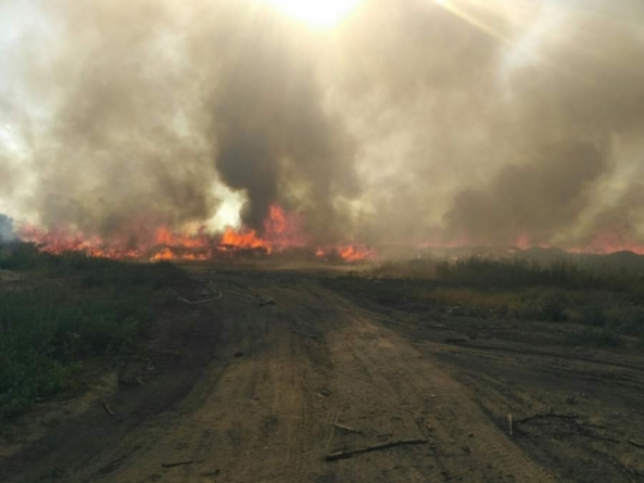 Впродовж доби на Черкащині виникло 3 пожежі через спалювання трави