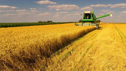 Перший мільйон зерна намолотили на Черкащині