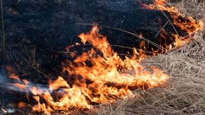 За добу на Черкащині виникло 4 пожежі в екосистемах