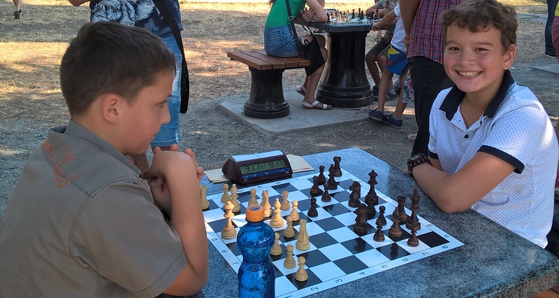 Шаховий турнір за швейцарською системою відбувся у Черкасах