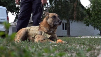 24 собаки допомагають черкаським поліцейським (відео)