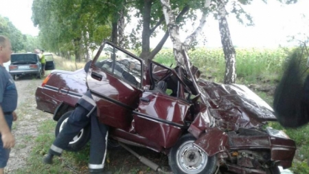 На Кам’янщині водій автомобіля в’їхав у дерево