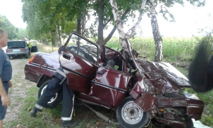 На Кам’янщині водій автомобіля в’їхав у дерево