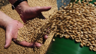 Черкаський аграрій незаконно продав зерна на мільйон