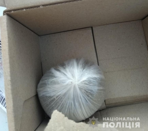 Правоохоронці Умані виявили у чоловіка півкілограма канабісу (фото)