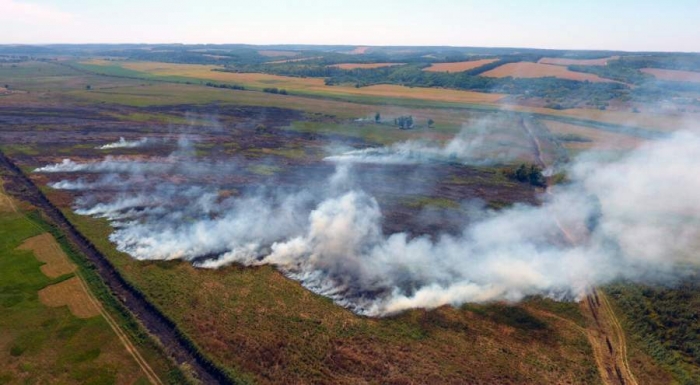 За добу рятувальники ліквідували 17 пожеж сухої трави