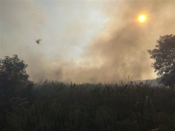 На Черкащині рятувальники ліквідували масштабну пожежу на сміттєзвалищі (фото, відео)