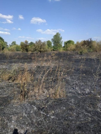 У Черкасах рятувальники ліквідували три пожежі сухої трави