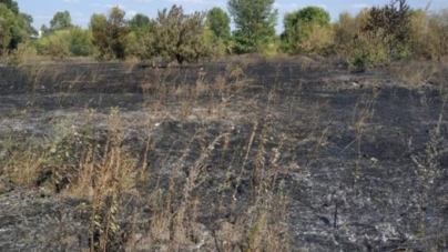 У Черкасах рятувальники ліквідували три пожежі сухої трави