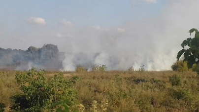 За добу в екосистемах Черкащини виникло 7 пожеж
