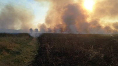 За добу рятувальники 10 разів гасили пожежі сухої трави (відео)