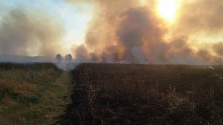 За добу рятувальники 10 разів гасили пожежі сухої трави (відео)