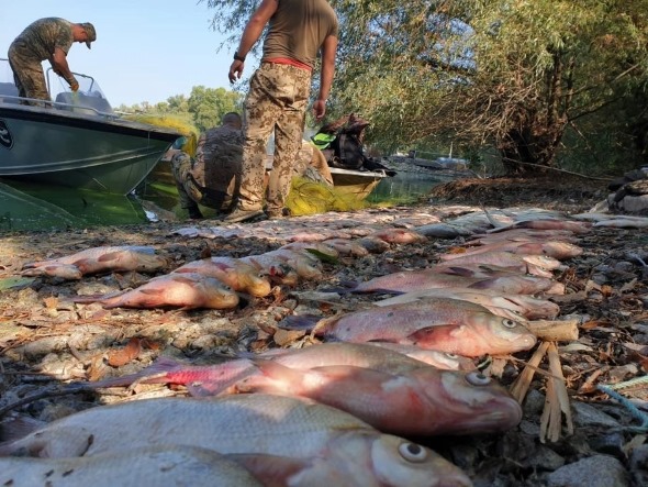 Черкаські рибінспектори затримали браконьєрів на Кіровоградщині
