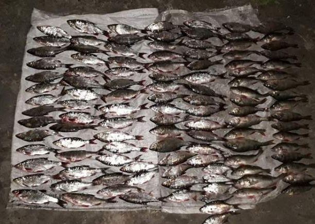 На території природно-заповідного фонду упіймали незаконних рибалок