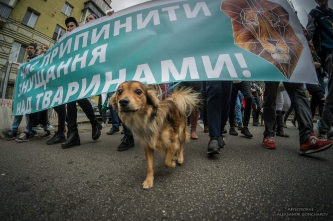 У Черкасах цими вихідними пройде Всеукраїнський марш за тварин