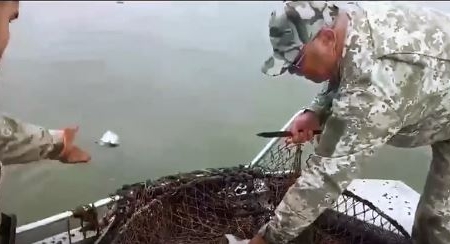 Півтони виловленої браконьєрами риби відпустили у Дніпро (відео)