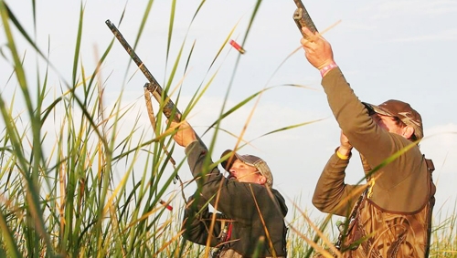 За місяць з відкриття полювання на пернатих виявили 67 порушників