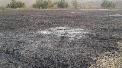 На Черкащині пожежа сухої трави перекинулася на посіви сої