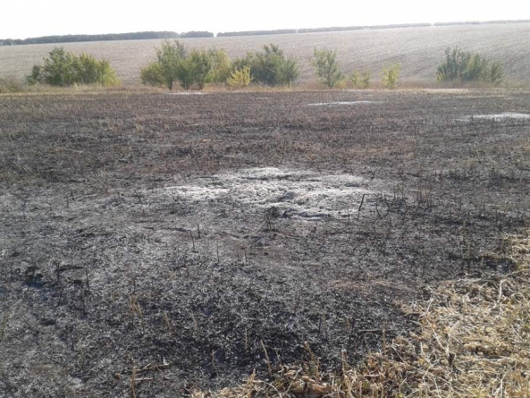 На Черкащині пожежа сухої трави перекинулася на посіви сої