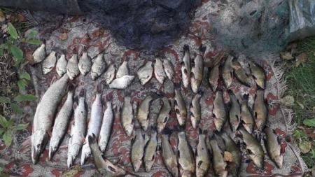 На Черкащині порушник незаконно наловив 10 кг риби