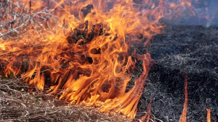 Пенсіонер з Черкащини влаштував масштабну пожежу сухостою