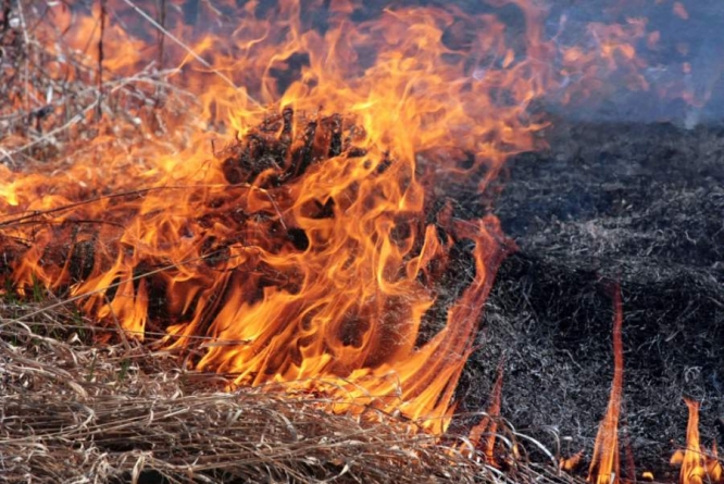 Пенсіонер з Черкащини влаштував масштабну пожежу сухостою