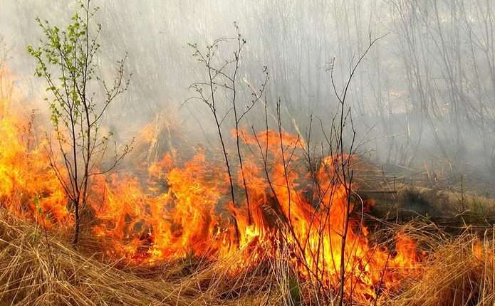 Вихідними на Черкащині виникло 24 пожежі сухої рослинності