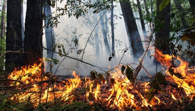 На Черкащині один з найвищих рівнів пожежної небезпеки в Україні