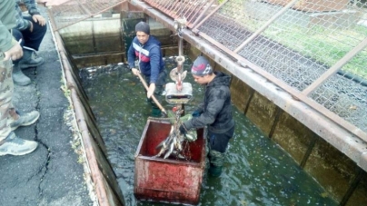 У Звенигородське водосховище вселено майже 4 тонни риби, – Черкаський рибоохоронний патруль
