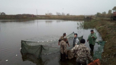 У Кременчуцьке водосховище вселено 200 тис. екз. риб