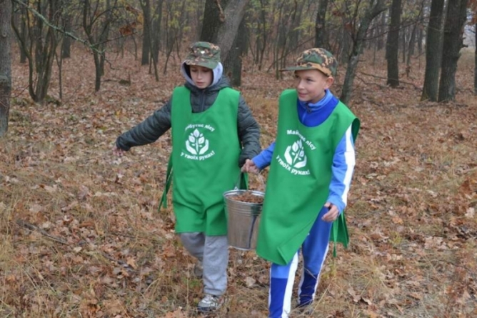 Операція «Жолудь»: у Канівському лісгоспі школярі допомагають збирати лісове насіння