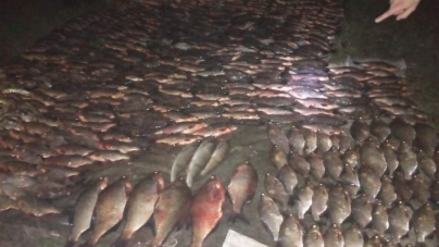 Поблизу села Свидівок затримано браконьєрів зі значним уловом риби (фото, відео)