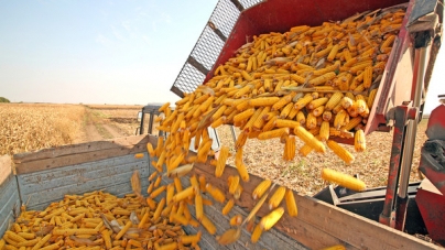 Понад мільйон тонн зерна зібрали аграрії Черкащини