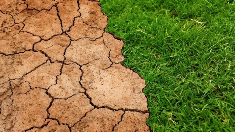 Посуха на Черкащині ставить під питання майбутній урожай