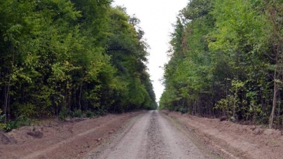 Лісові дороги облаштовують у Кам’янському лісгоспі