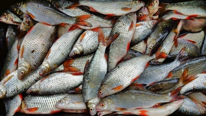 На Черкащині заборонили ловити рибу у зимувальних ямах