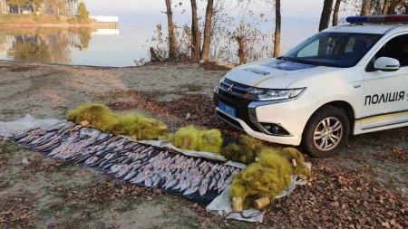 Рибні браконьєри з Черкащини незаконно наловили риби на понад 38 тисяч гривень
