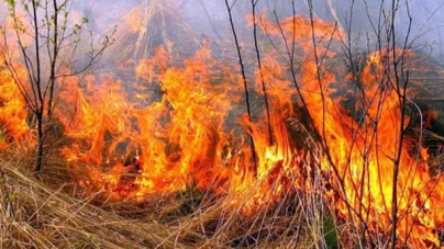 Черкаські рятувальники ліквідували три пожежі сухої трави