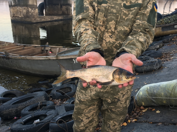 2,5 тонни риби вселили у Кременчуцьке водосховище