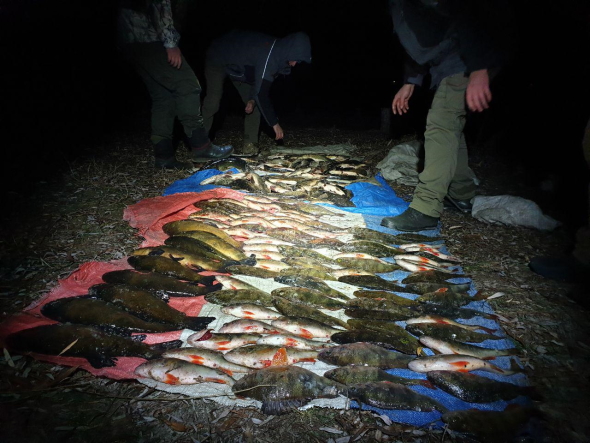 Близько 40 тис.гривень збитків завдали рибні браконьєри біля Черкас