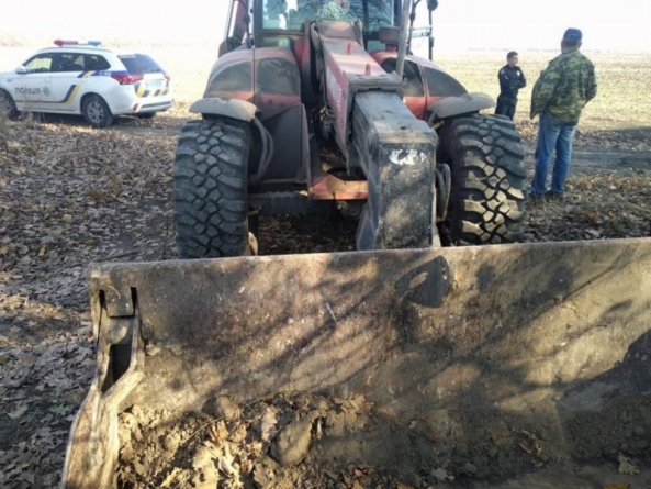 Нелегальне захоронення трупів свиней виявили на Черкащині (фото)